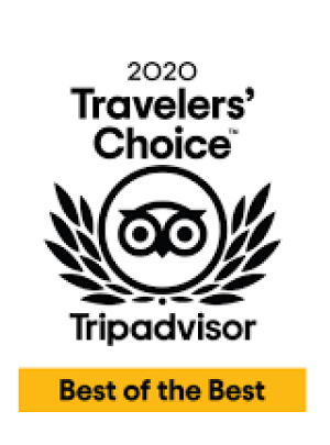 Award-TripAdvisor2020